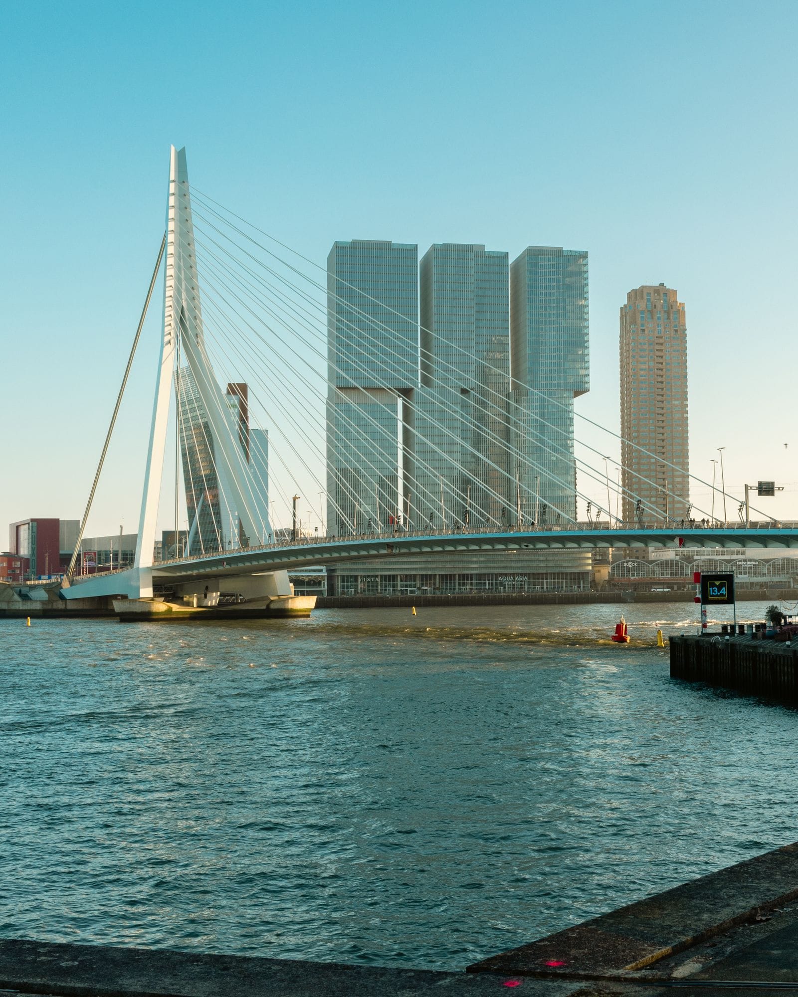 De Erasmusbrug en de skyline van Rotterdam, de stad waar Wiggers Workflow gevestigd is